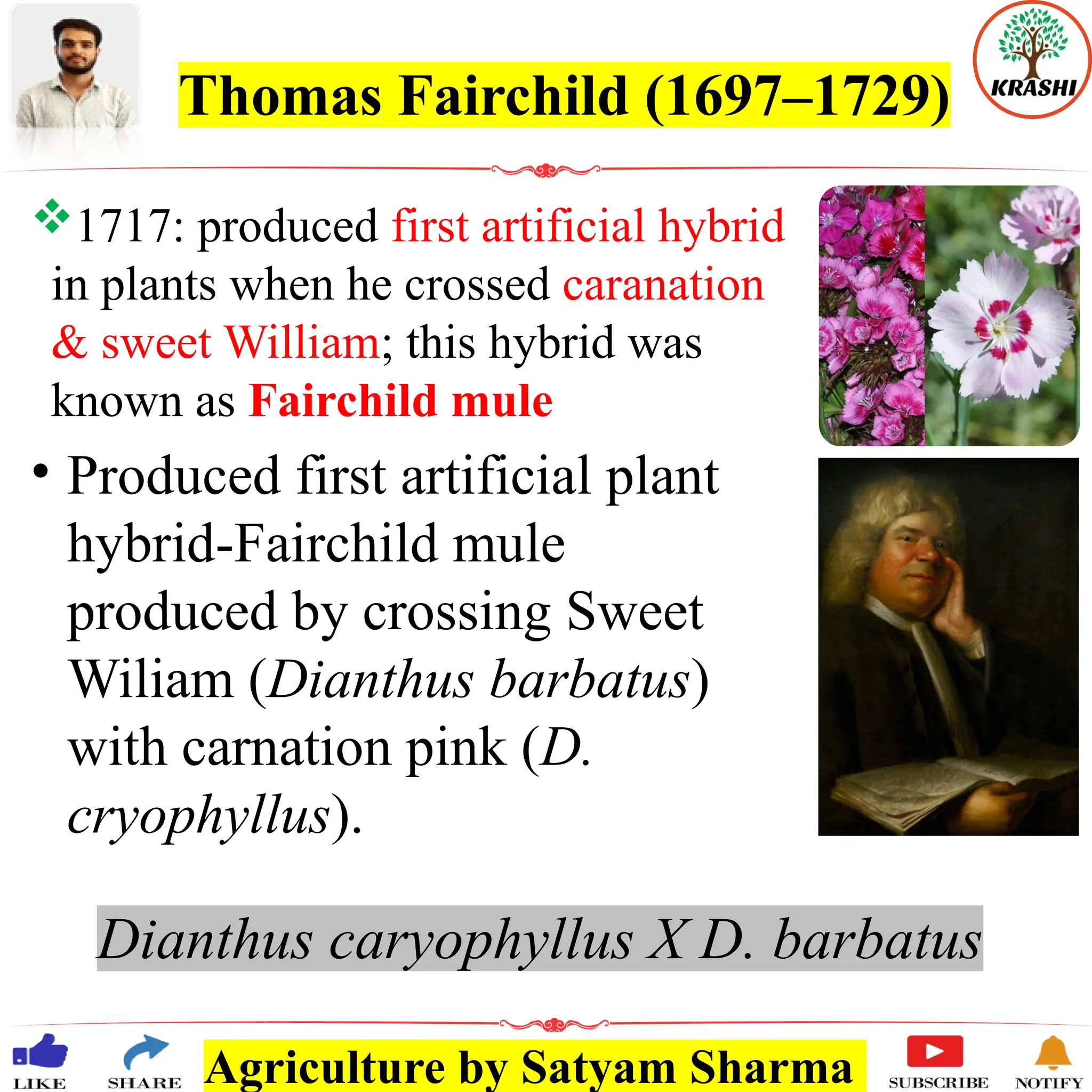 Agriculture by Satyam Sharma
Thomas Fairchild (1697–1729)
1717: produced first artificial hybrid
in plants when he crossed caranation
& sweet William; this hybrid was
known as Fairchild mule
• Produced first artificial plant
hybrid-Fairchild mule
produced by crossing Sweet
Wiliam (Dianthus barbatus)
with carnation pink (D.
cryophyllus).
Dianthus caryophyllus X D. barbatus
 