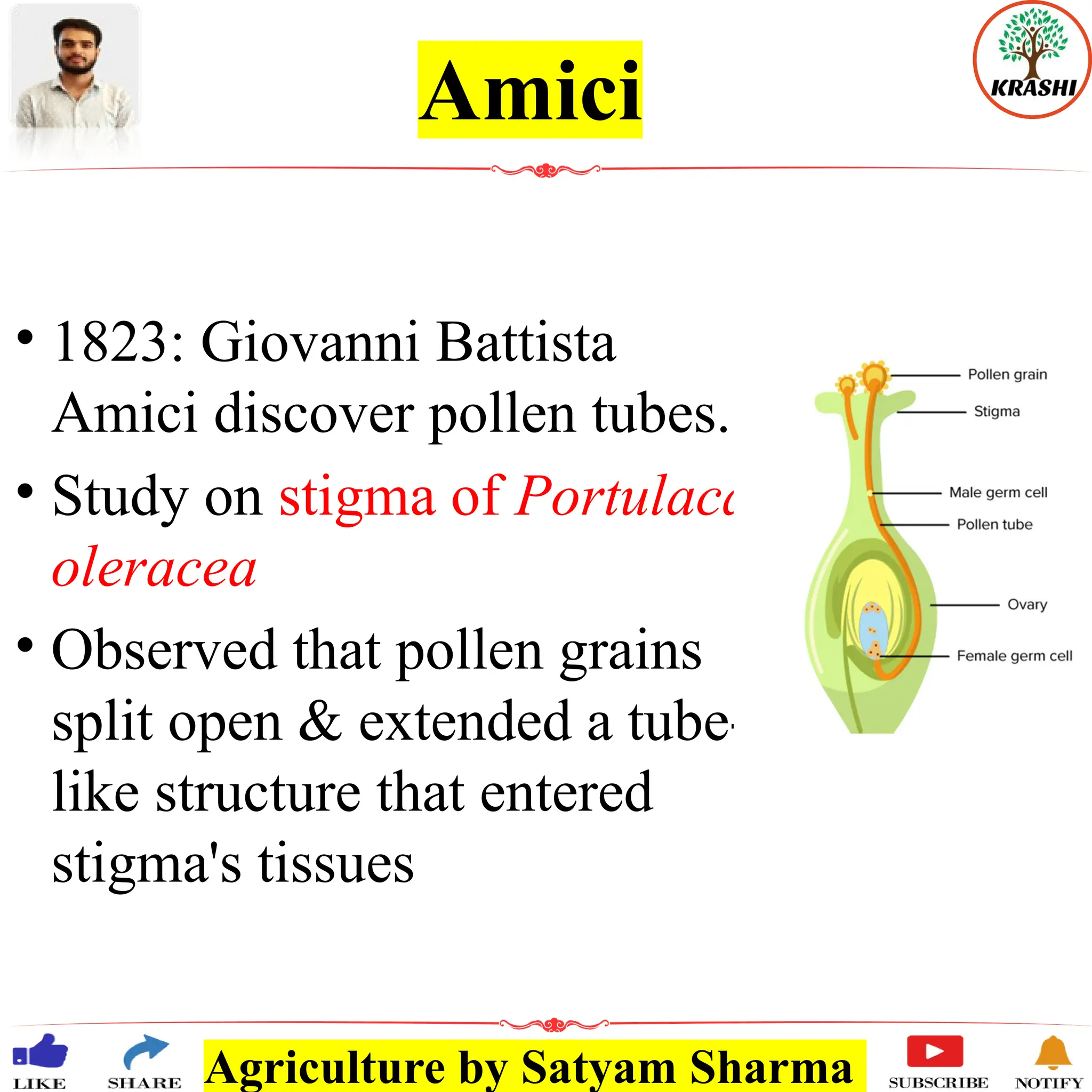 Agriculture by Satyam Sharma
Amici
• 1823: Giovanni Battista
Amici discover pollen tubes.
• Study on stigma of Portulaca
oleracea
• Observed that pollen grains
split open & extended a tube-
like structure that entered
stigma's tissues
 