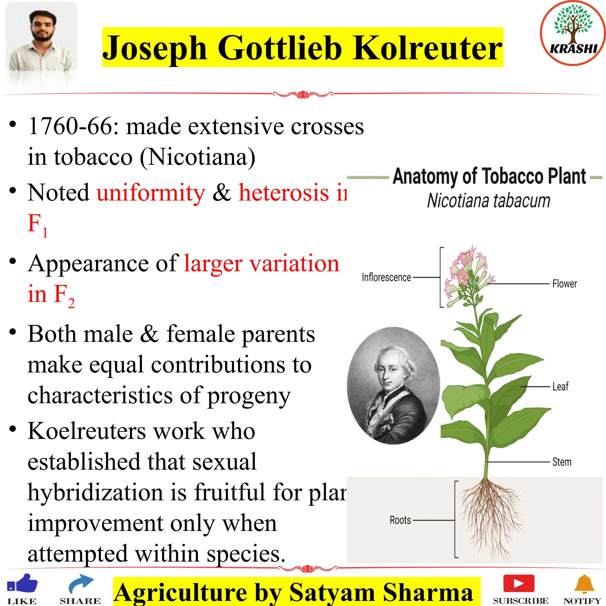 Agriculture by Satyam Sharma
Joseph Gottlieb Kolreuter
• 1760-66: made extensive crosses
in tobacco (Nicotiana)
• Noted uniformity & heterosis in
F1
• Appearance of larger variation
in F2
• Both male & female parents
make equal contributions to
characteristics of progeny
• Koelreuters work who
established that sexual
hybridization is fruitful for plant
improvement only when
attempted within species.
 