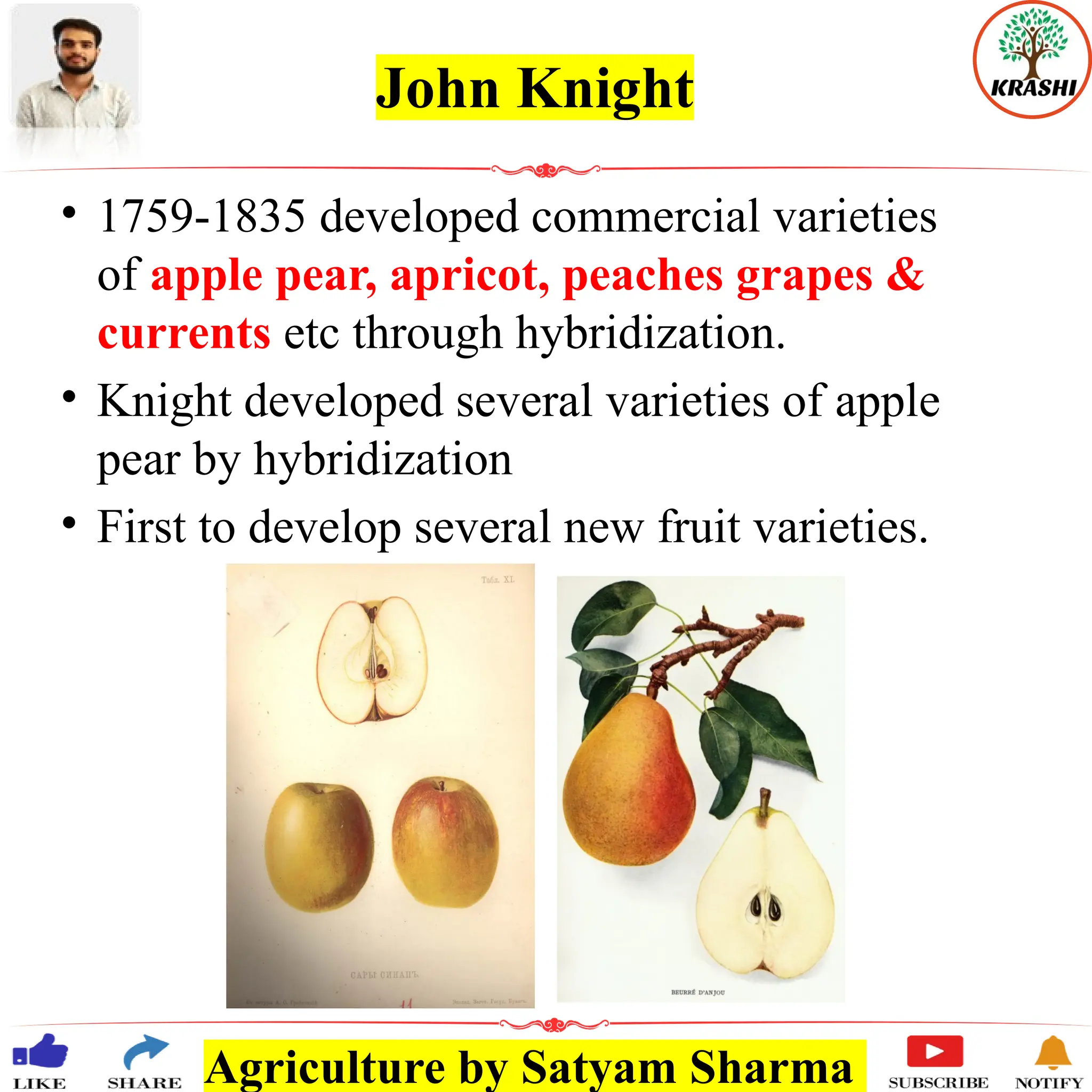 Agriculture by Satyam Sharma
John Knight
• 1759-1835 developed commercial varieties
of apple pear, apricot, peaches grapes &
currents etc through hybridization.
• Knight developed several varieties of apple
pear by hybridization
• First to develop several new fruit varieties.
 