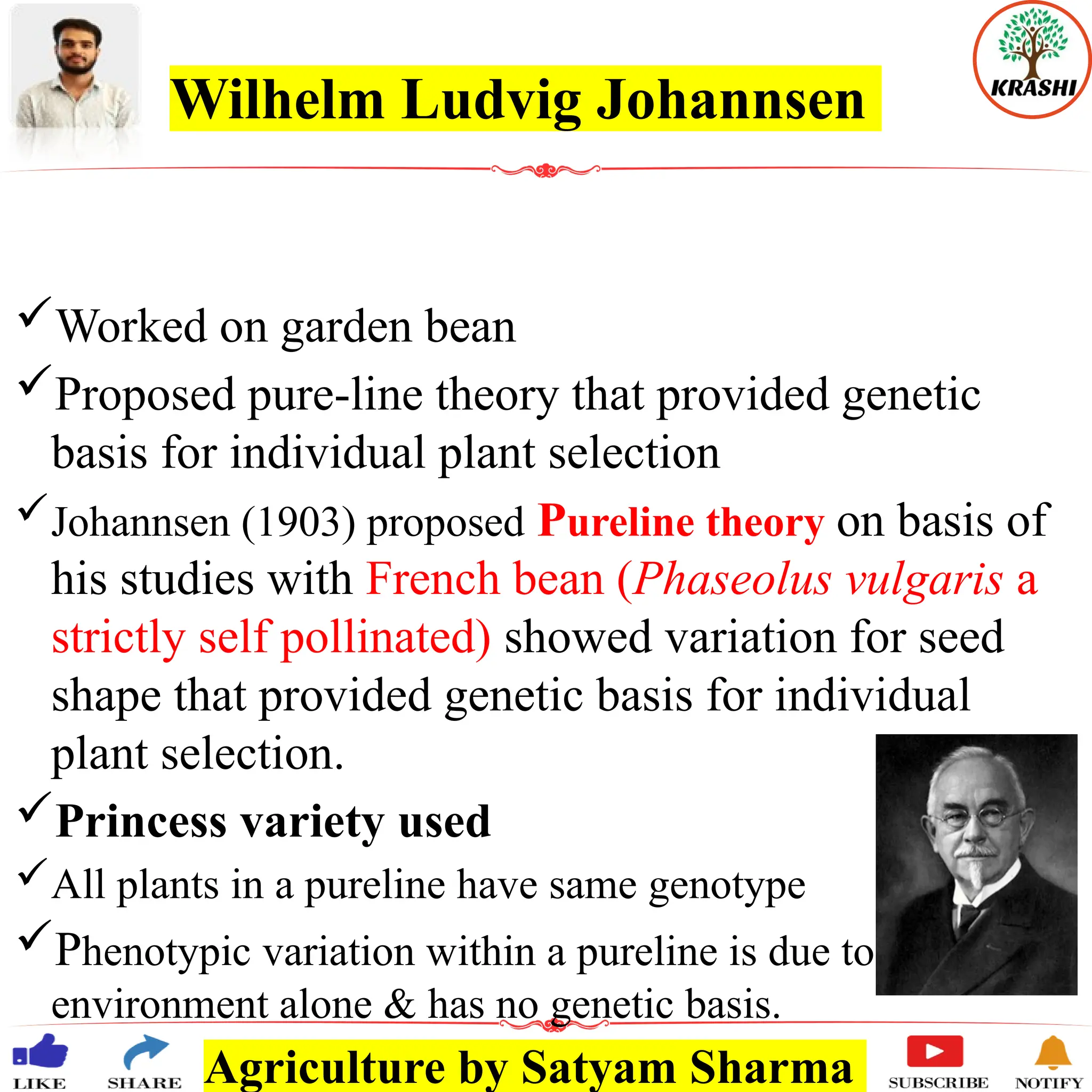 Agriculture by Satyam Sharma
Wilhelm Ludvig Johannsen
Worked on garden bean
Proposed pure-line theory that provided genetic
basis for individual plant selection
Johannsen (1903) proposed Pureline theory on basis of
his studies with French bean (Phaseolus vulgaris a
strictly self pollinated) showed variation for seed
shape that provided genetic basis for individual
plant selection.
Princess variety used
All plants in a pureline have same genotype
Phenotypic variation within a pureline is due to
environment alone & has no genetic basis.
 