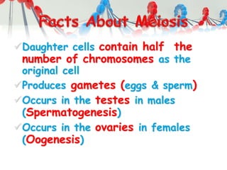 Daughter cells contain half the
number of chromosomes as the
original cell
Produces gametes (eggs & sperm)
Occurs in the testes in males
(Spermatogenesis)
Occurs in the ovaries in females
(Oogenesis)
 