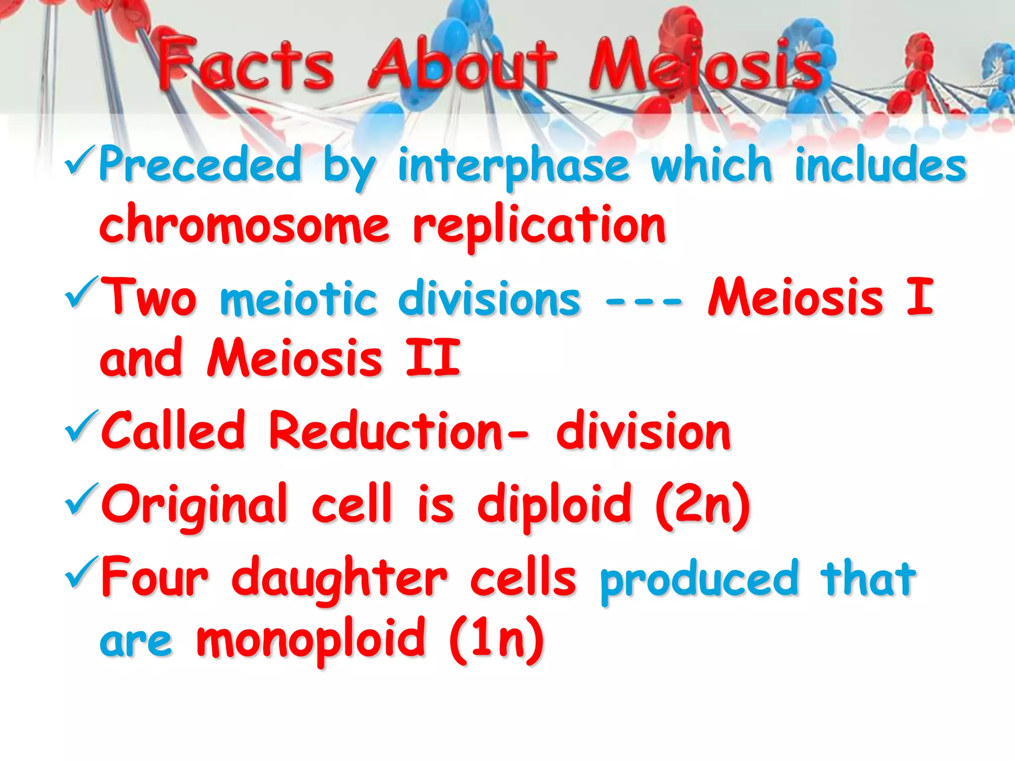Preceded by interphase which includes
chromosome replication
Two meiotic divisions --- Meiosis I
and Meiosis II
Called Reduction- division
Original cell is diploid (2n)
Four daughter cells produced that
are monoploid (1n)
 
