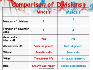 Mitosis Meiosis
Number of divisions 1
2
Number of daughter
cells
2 4
Genetically
identical?
Yes No
Chromosome # Same as parent Half of parent
Where Somatic cells Germ cells
When Throughout life At sexual maturity
Role Growth and repair Sexual reproduction
copyright cmassengale
 