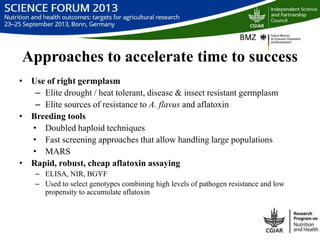 Managing aflatoxin contamination of maize through breeding