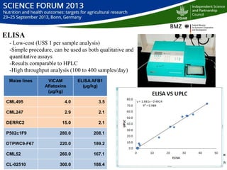 Managing aflatoxin contamination of maize through breeding