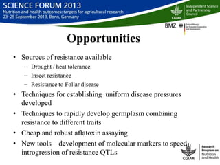 Managing aflatoxin contamination of maize through breeding