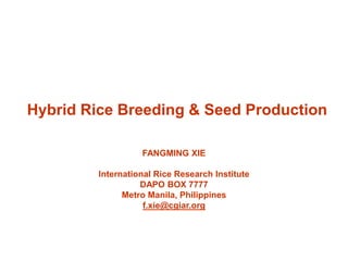 Hybrid Rice Breeding & Seed Production
FANGMING XIE
International Rice Research Institute
DAPO BOX 7777
Metro Manila, Philippines
f.xie@cgiar.org
 