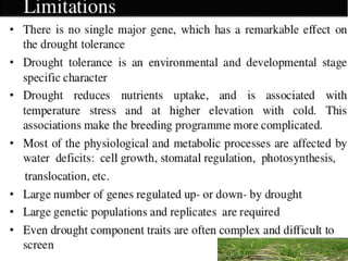 Breeding approaches for drought tolerance in cereals final | PPT