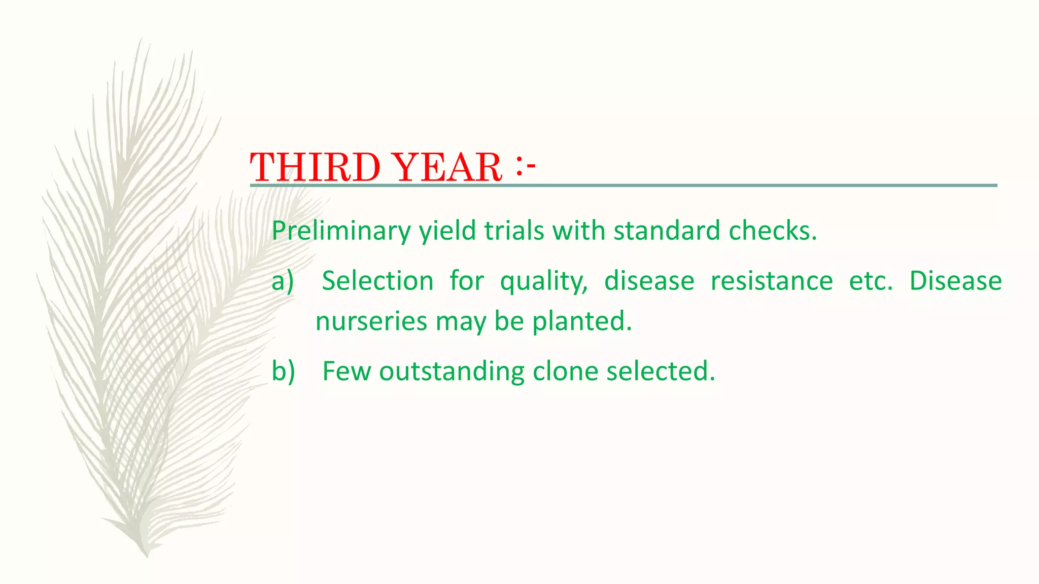 THIRD YEAR :-
Preliminary yield trials with standard checks.
a) Selection for quality, disease resistance etc. Disease
nurseries may be planted.
b) Few outstanding clone selected.
 