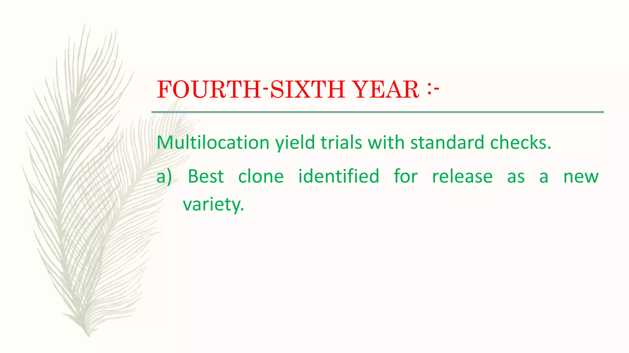 FOURTH-SIXTH YEAR :-
Multilocation yield trials with standard checks.
a) Best clone identified for release as a new
variety.
 