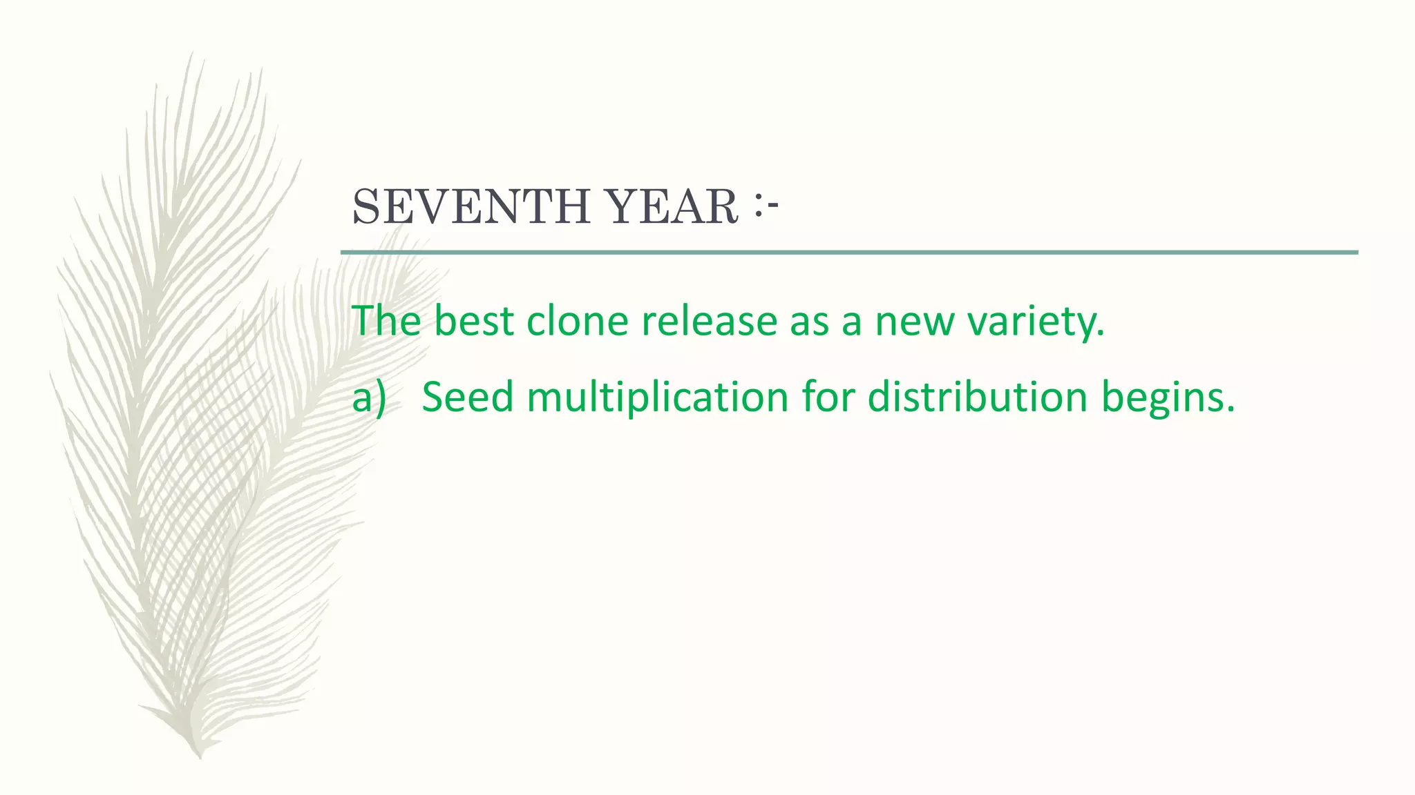 SEVENTH YEAR :-
The best clone release as a new variety.
a) Seed multiplication for distribution begins.
 