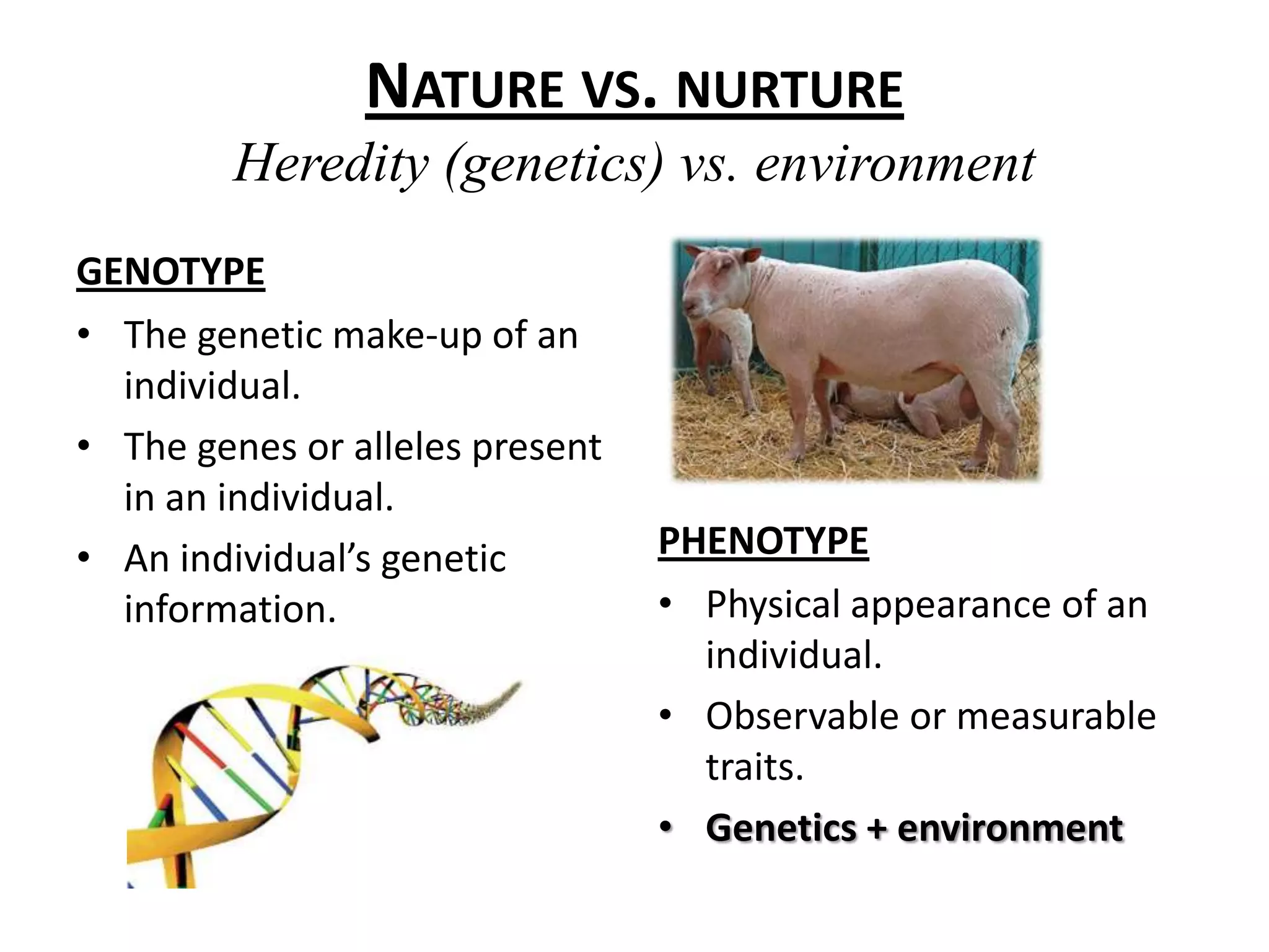 Nature vs. nurtureHeredity (genetics) vs. environmentGENOTYPEThe genetic make-up of an individual.The genes or alleles present in an individual.An individual’s genetic information.PHENOTYPEPhysical appearance of an individual.Observable or measurable traits.Genetics + environment