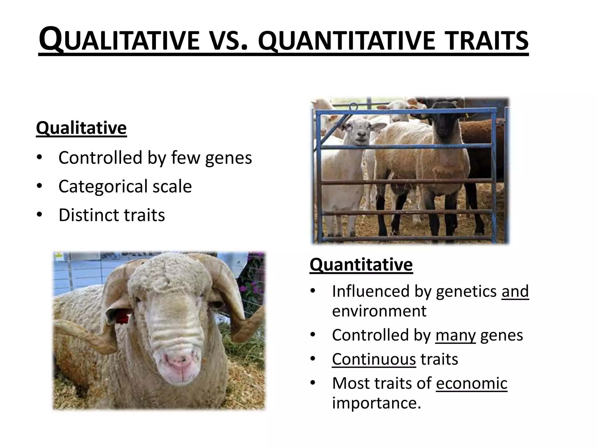 Selection:  HeritabilityPhenotypic variation due to genetic differences.Relationship between phenotype and genotype.Percent of phenotypic variation that is transferred to the next generation.Degree to which offspring resemble parentsSire and offspring