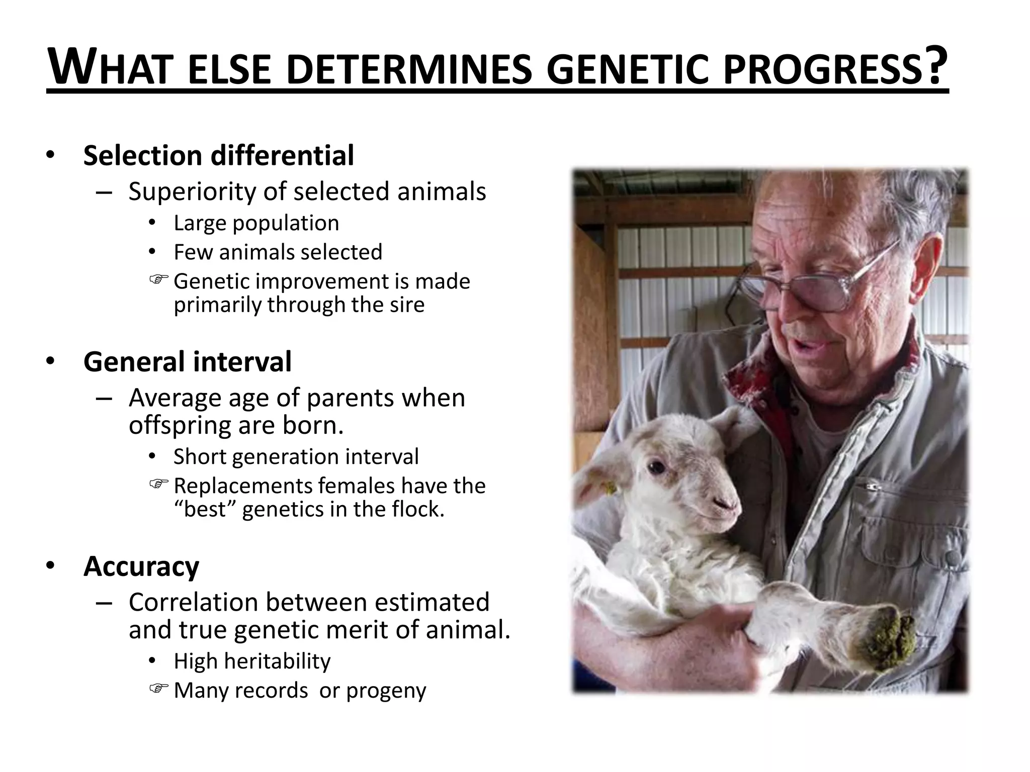 Tools for genetic improvementOn-farm performance testingCarcass contestsCentral performance testsAcross-flock genetic comparisons (EPDs)