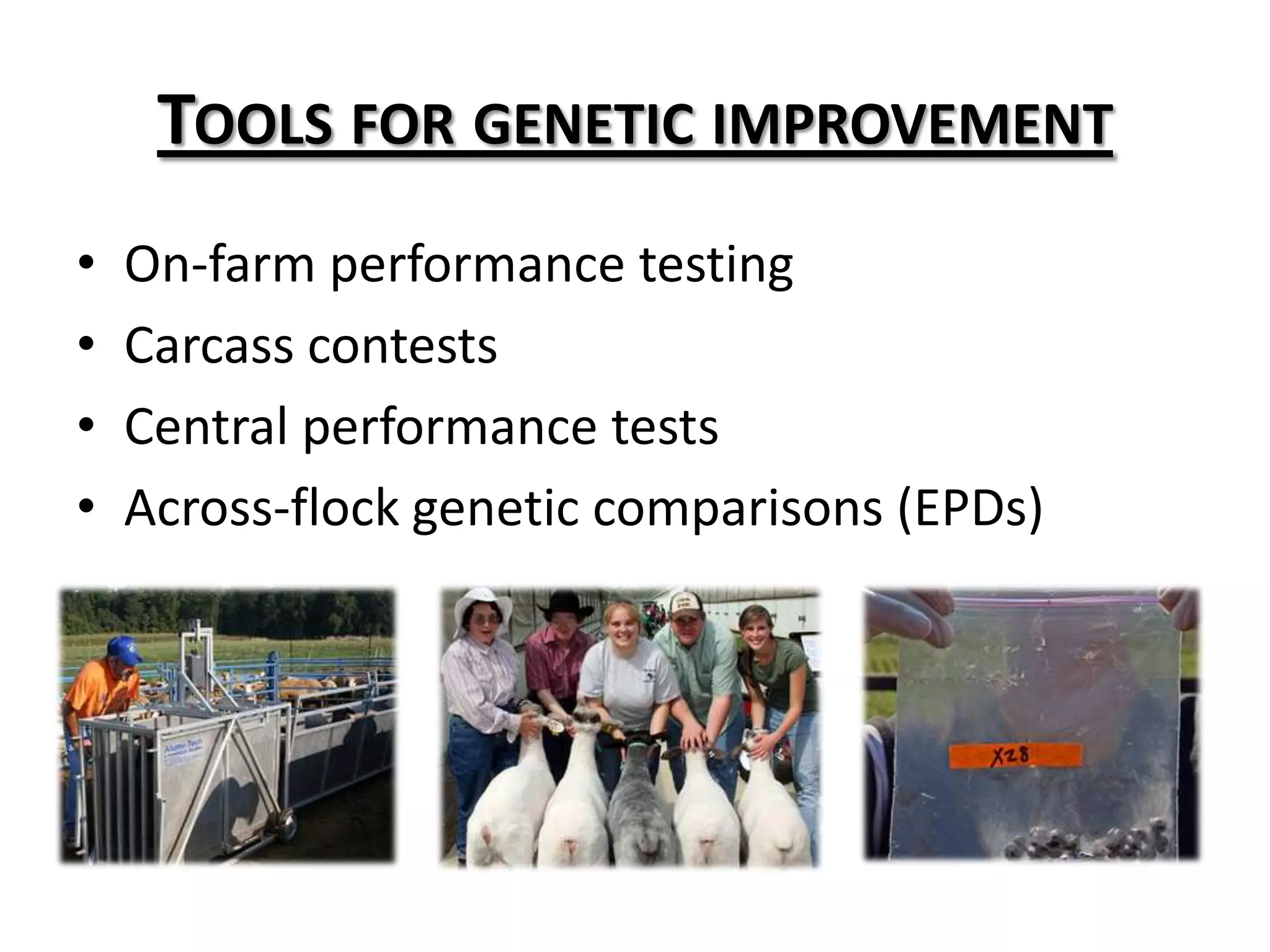 Contemporary groupsSame breed or breed typeSame environmentSame management groupSame feeding programSame season