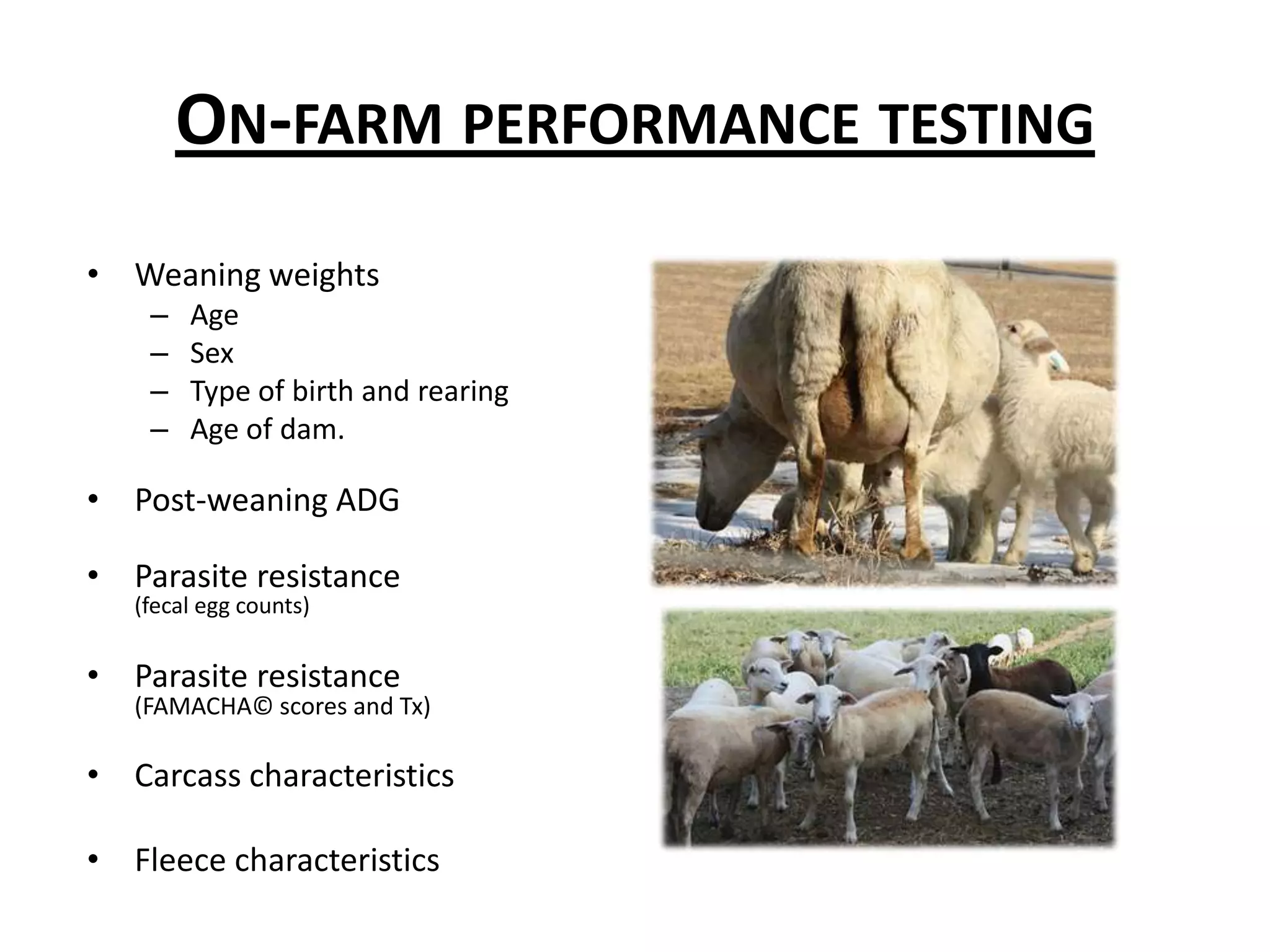 Central ram performance testsMostly for terminal sire and dual-purpose breeds.VirginiaWest VirginiaPennsylvaniaMidwestWestGrowth and feed efficiencyUltrasound carcassFleece characteristicsType scoresScrapie and spider genotype