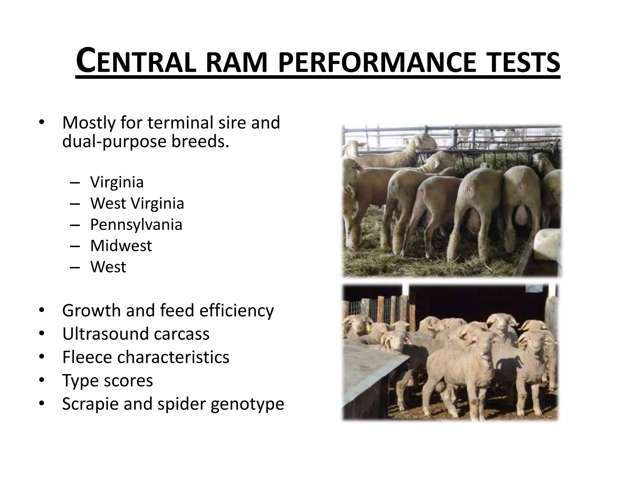 Thank you for  your attention.Do you have any questions?