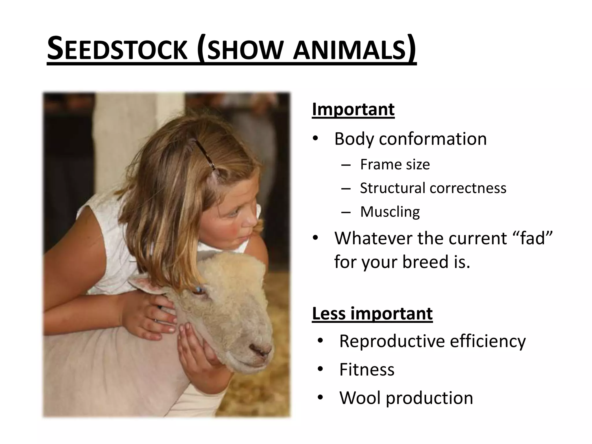 Seedstock (show animals)ImportantBody conformationFrame sizeStructural correctnessMusclingWhatever the current “fad” for your breed is.Less importantReproductive efficiencyFitnessWool production