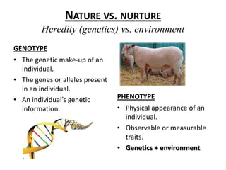 Nature vs. nurtureHeredity (genetics) vs. environmentGENOTYPEThe genetic make-up of an individual.The genes or alleles present in an individual.An individual’s genetic information.PHENOTYPEPhysical appearance of an individual.Observable or measurable traits.Genetics + environment