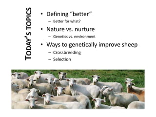 Defining “better”Better for what?Nature vs. nurtureGenetics vs. environmentWays to genetically improve sheepCrossbreedingSelection Today’s topics