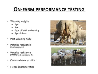 Central ram performance testsMostly for terminal sire and dual-purpose breeds.VirginiaWest VirginiaPennsylvaniaMidwestWestGrowth and feed efficiencyUltrasound carcassFleece characteristicsType scoresScrapie and spider genotype