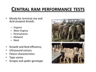 Thank you for  your attention.Do you have any questions?