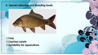 Breeding Cultur-WPS Office.pptx / breeding cultural plan of carp | PPTX