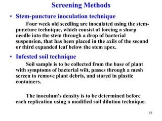 Puncture Inoculation Breeding for bac. wilt resi. in tomato.ppt
