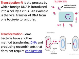 Transduction-It is the process by
which foreign DNA is introduced
into a cell by a virus . An example
is the viral transfer of DNA from
one bacteria to another.
Transformation-Some
bacteria have another
method transferring DNA and
producing recombinants that
does not require conjugation
 