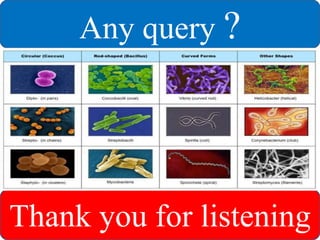 Any query ?
Thank you for listening
 