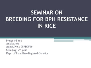 SEMINAR ON
BREEDING FOR BPH RESISTANCE
IN RICE
Presented by :
Ankita Jena
Admn. No. : 08PBG/16
MSc.(Ag) 2nd year
Dept. of Plant Breeding And Genetics
 