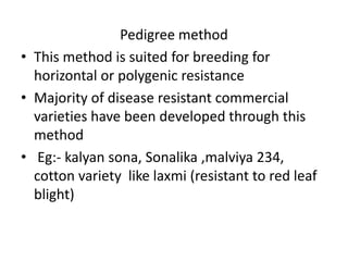 Pedigree method
• This method is suited for breeding for
horizontal or polygenic resistance
• Majority of disease resistant commercial
varieties have been developed through this
method
• Eg:- kalyan sona, Sonalika ,malviya 234,
cotton variety like laxmi (resistant to red leaf
blight)
 
