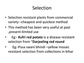 Selection
• Selection resistant plants from commercial
variety –cheapest and quickest method
• This method has been very useful at past
,present-limited use
• Eg:- Kufri red potato is a disease resistant
selection from “Darjeeling red round
• Eg:-Pusa swani bhindi –yellow mosaic
resistant selection from collections in bihar
 