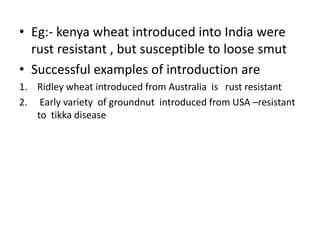 • Eg:- kenya wheat introduced into India were
rust resistant , but susceptible to loose smut
• Successful examples of introduction are
1. Ridley wheat introduced from Australia is rust resistant
2. Early variety of groundnut introduced from USA –resistant
to tikka disease
 