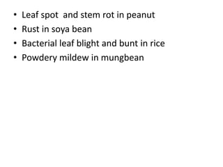 • Leaf spot and stem rot in peanut
• Rust in soya bean
• Bacterial leaf blight and bunt in rice
• Powdery mildew in mungbean
 