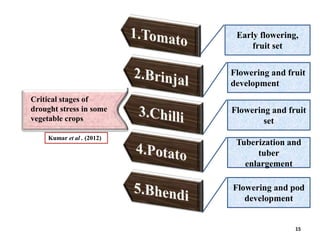 BREEDING FOR DROUGHT TOLERANCE IN TOMATO.pptx