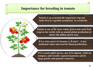 BREEDING FOR DROUGHT TOLERANCE IN TOMATO.pptx