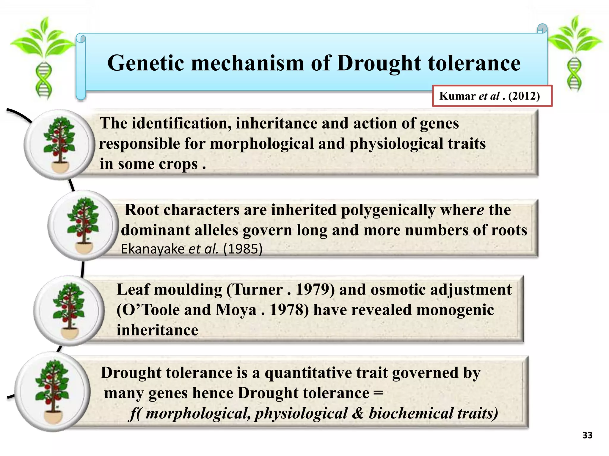 BREEDING FOR DROUGHT TOLERANCE IN TOMATO.pptx