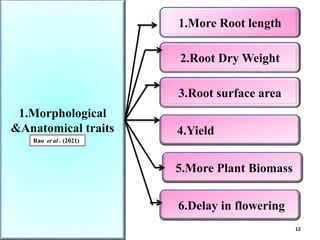 BREEDING FOR DROUGHT TOLERANCE IN TOMATO.pptx