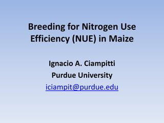 Breeding for Nitrogen Use Efficiency (NUE) in Maize Ignacio A. Ciampitti Purdue University iciampit@purdue.edu 