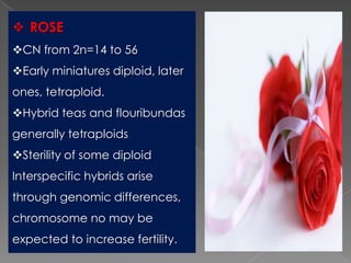 Breeding for polyploidy in ornamental crops