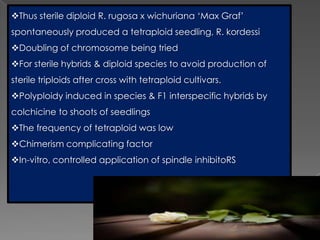 Breeding for polyploidy in ornamental crops