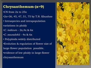 Breeding for polyploidy in ornamental crops