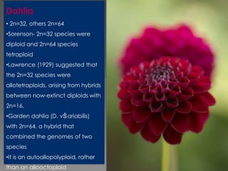 Breeding for polyploidy in ornamental crops