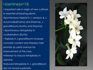 Breeding for polyploidy in ornamental crops