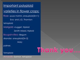 Breeding for polyploidy in ornamental crops