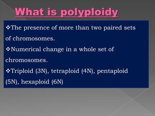 Breeding for polyploidy in ornamental crops