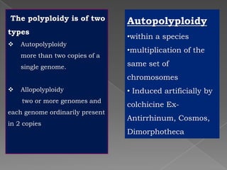 Breeding for polyploidy in ornamental crops