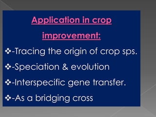 Breeding for polyploidy in ornamental crops